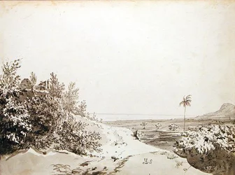 View from the Pass of Sakrigali Looking East Towards Bengal